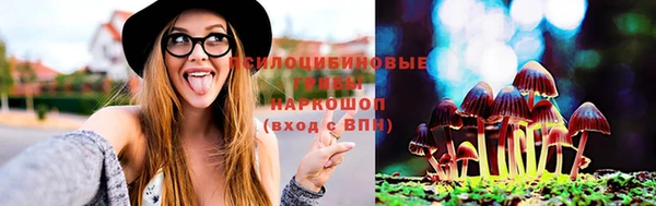 ГАЛЛЮЦИНОГЕННЫЕ ГРИБЫ Богданович