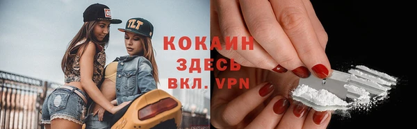 дмт Богородицк