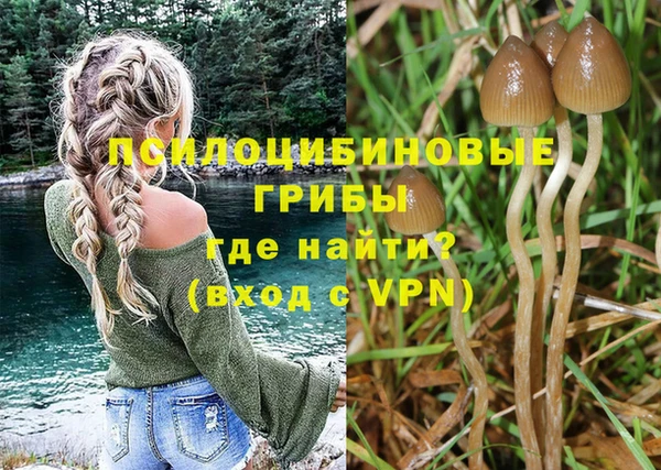 бошки Белоозёрский