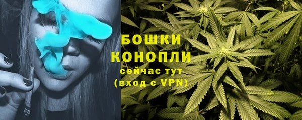 дмт Богородицк