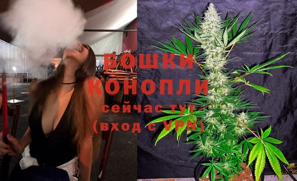 дмт Богородицк