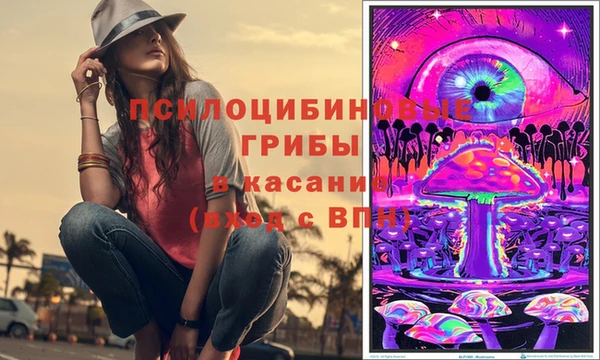 индика Бронницы